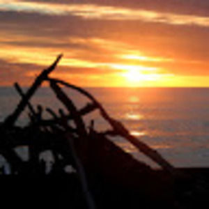 Meet your Posher, Alison